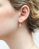 Marie Rose Gold White Diamond Cluster Earrings